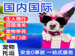 海拉尔航空运输国际宠物托运 【国